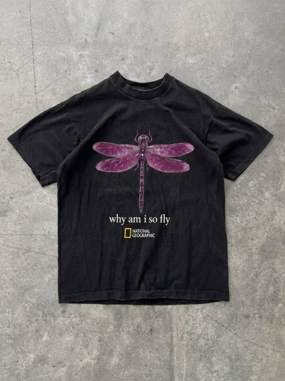 Gildan Men's T-shirt